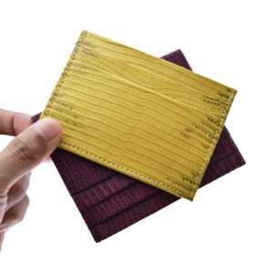 Exclusive monitor lizard card holder