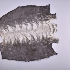 Monitor lizard leather
