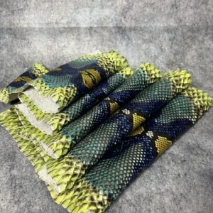 Luxury real python skin multicolor