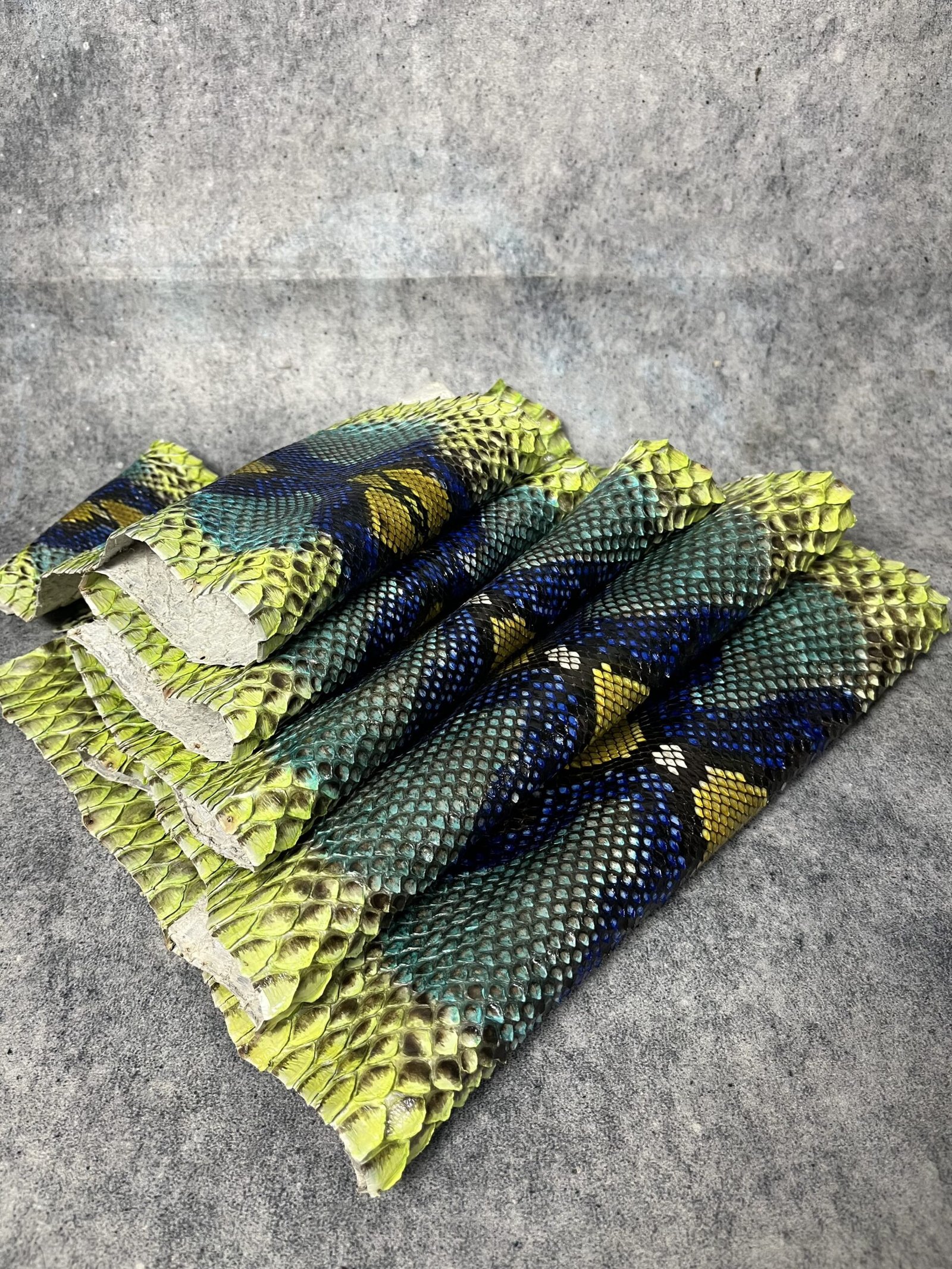 Luxury real python skin multicolor